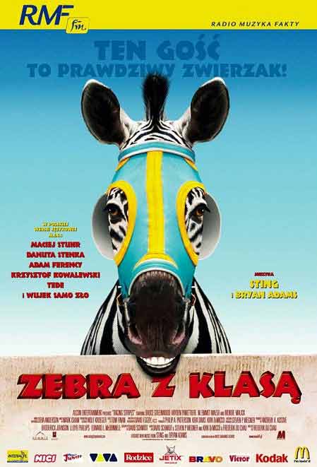 Zebra z klasą