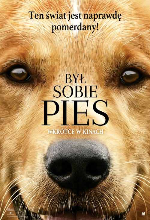 Był sobie pies